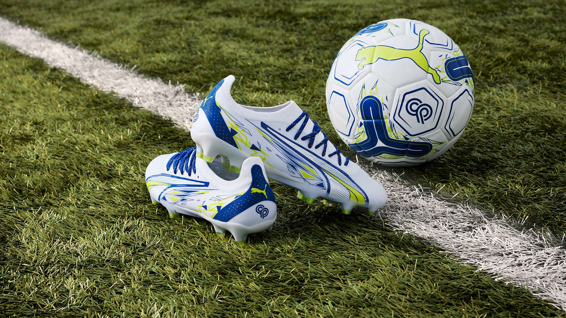 将有助于在 将有助于在