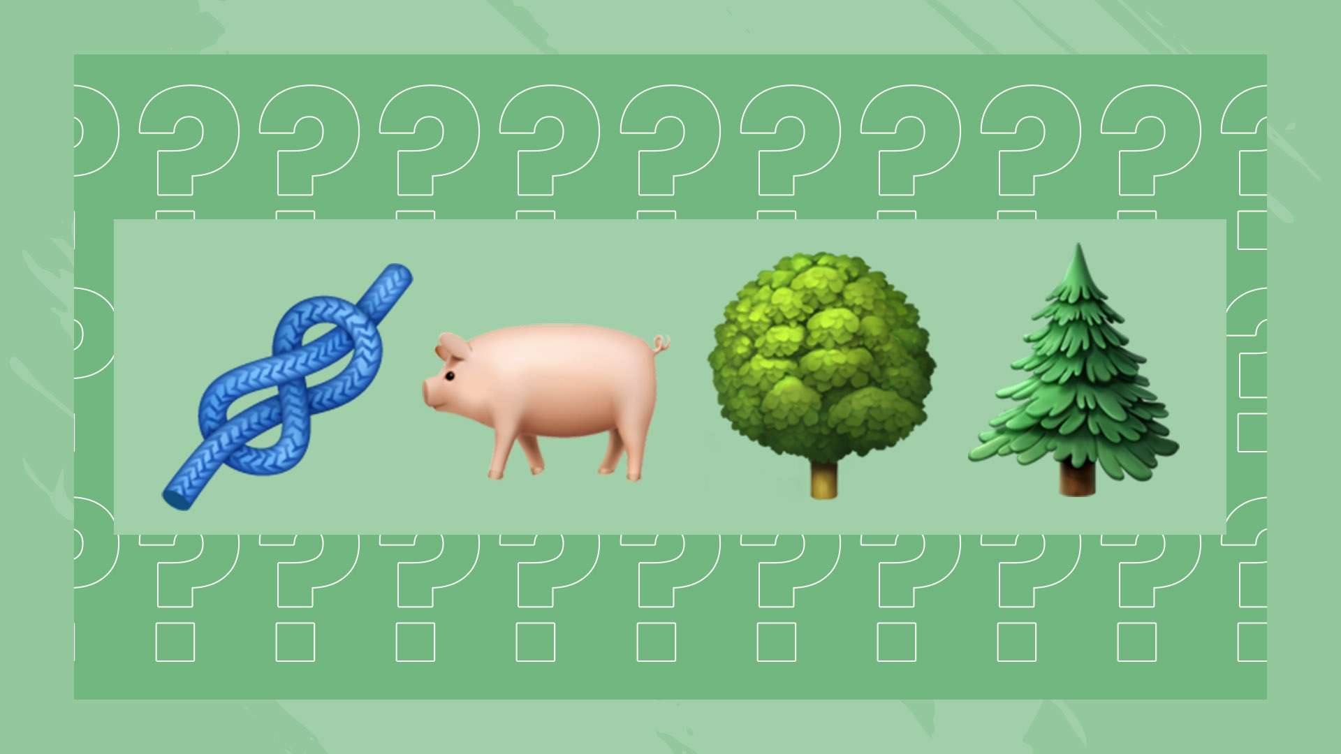 经历是曼城 经历是曼城